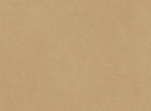 OCHRE