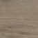 TERRE