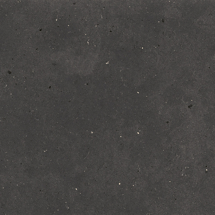 BLACK FJORD