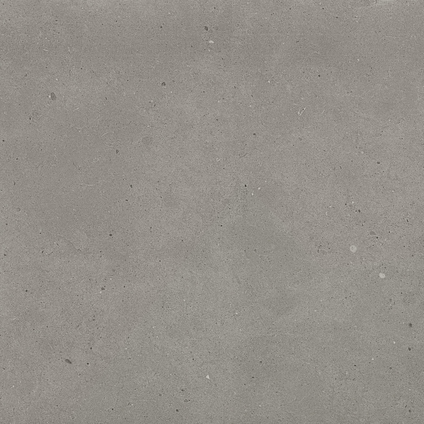 GREY FJORD